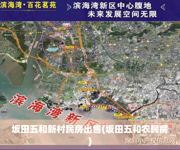 坂田五和新村民房出售(坂田五和农民房) 坂田五和新村民房出售(坂田五和农民房)