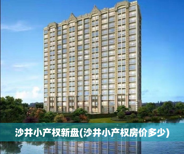 沙井小产权新盘(沙井小产权房价多少)