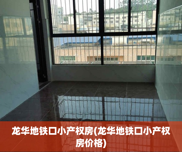 龙华地铁口小产权房(龙华地铁口小产权房价格)