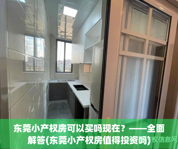 东莞小产权房可以买吗现在？——全面解答(东莞小产权房值得投资吗)