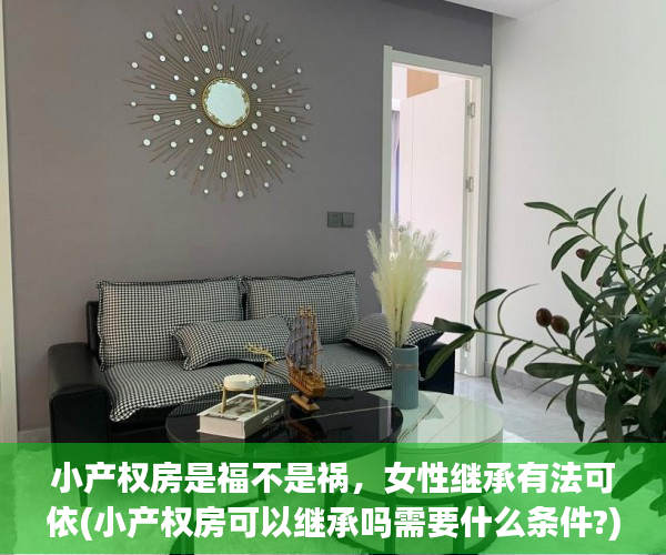 小产权房是福不是祸，女性继承有法可依(小产权房可以继承吗需要什么条件?)