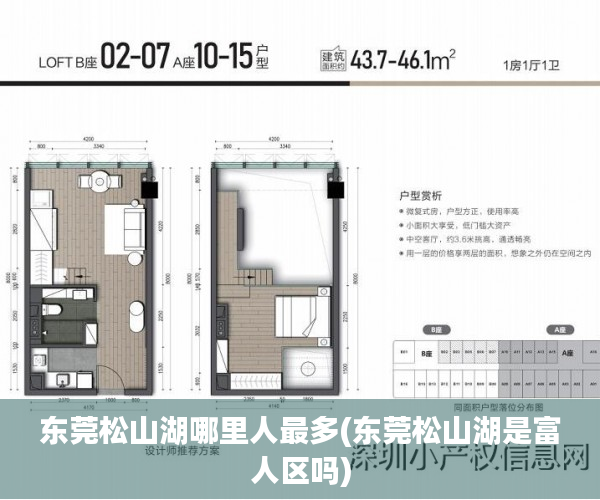 东莞松山湖哪里人最多(东莞松山湖是富人区吗)