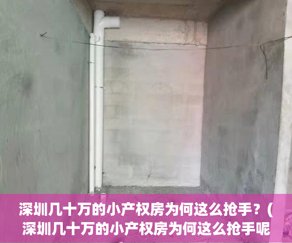 深圳几十万的小产权房为何这么抢手？(深圳几十万的小产权房为何这么抢手呢)