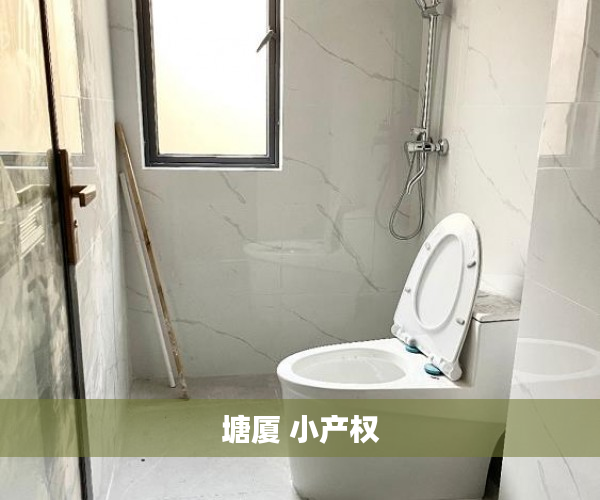 塘厦 小产权 塘厦 小产权
