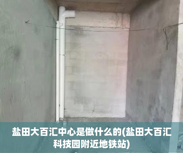 盐田大百汇中心是做什么的(盐田大百汇科技园附近地铁站) 盐田大百汇中心是做什么的(盐田大百汇科技园附近地铁站)