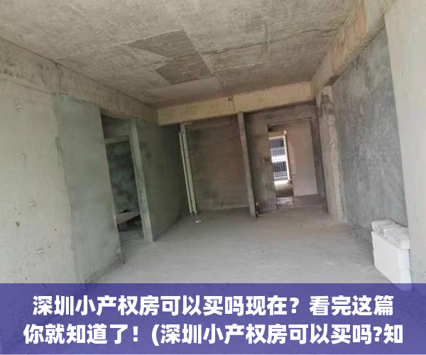 深圳小产权房可以买吗现在？看完这篇你就知道了！(深圳小产权房可以买吗?知乎)