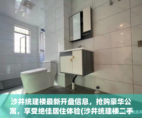 沙井统建楼最新开盘信息，抢购豪华公寓，享受绝佳居住体验(沙井统建楼二手房个人出售)