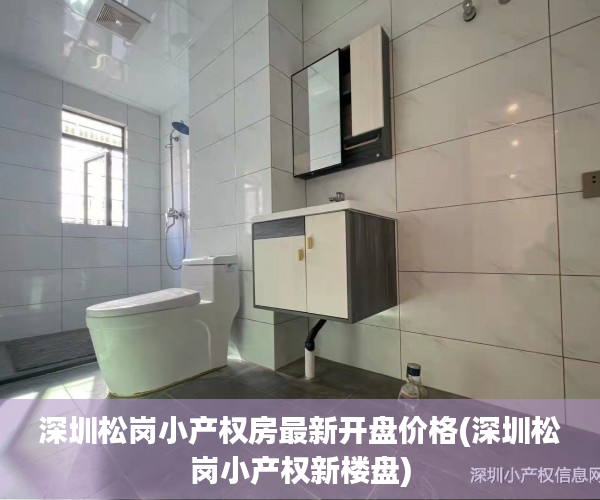 深圳松岗小产权房最新开盘价格(深圳松岗小产权新楼盘)