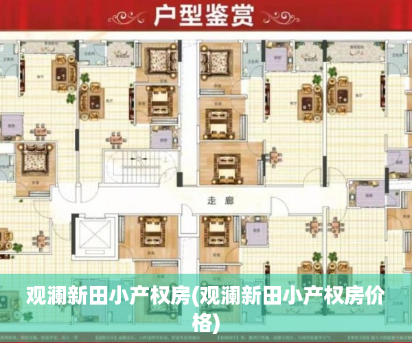 观澜新田小产权房(观澜新田小产权房价格)