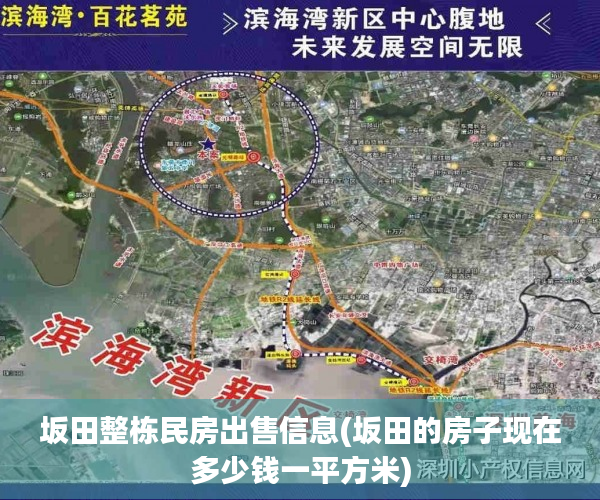 坂田整栋民房出售信息(坂田的房子现在多少钱一平方米) 坂田整栋民房出售信息(坂田的房子现在多少钱一平方米)