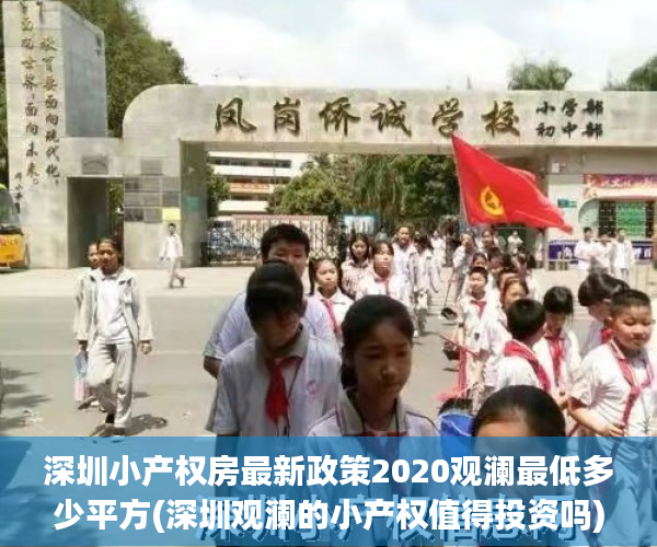 深圳小产权房最新政策2020观澜最低多少平方(深圳观澜的小产权值得投资吗)