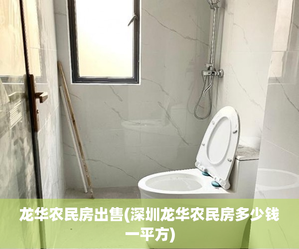 龙华农民房出售(深圳龙华农民房多少钱一平方)