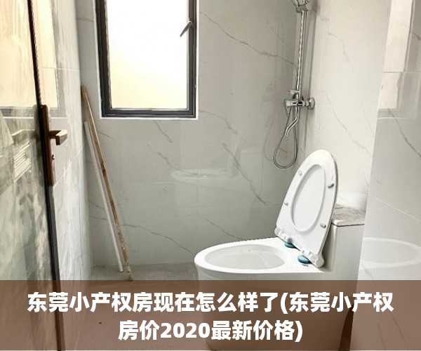 东莞小产权房现在怎么样了(东莞小产权房价2020最新价格) 东莞小产权房现在怎么样了(东莞小产权房价2020最新价格)