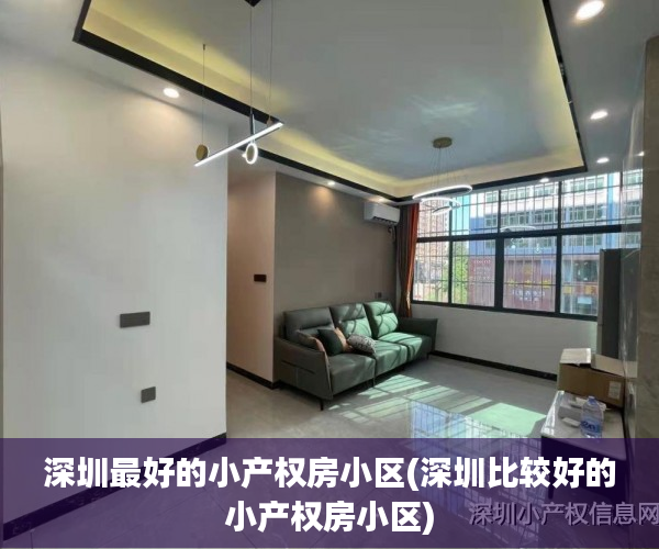 深圳最好的小产权房小区(深圳比较好的小产权房小区)