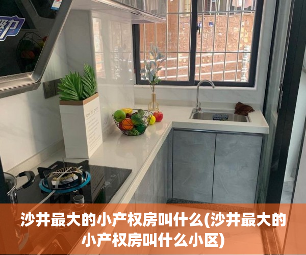 沙井最大的小产权房叫什么(沙井最大的小产权房叫什么小区) 沙井最大的小产权房叫什么(沙井最大的小产权房叫什么小区)