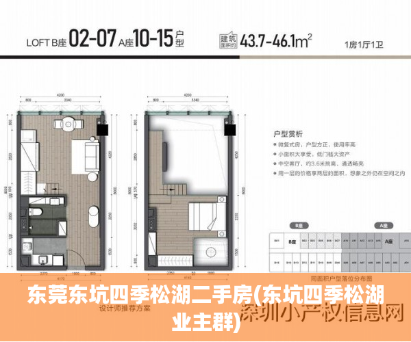 东莞东坑四季松湖二手房(东坑四季松湖业主群)