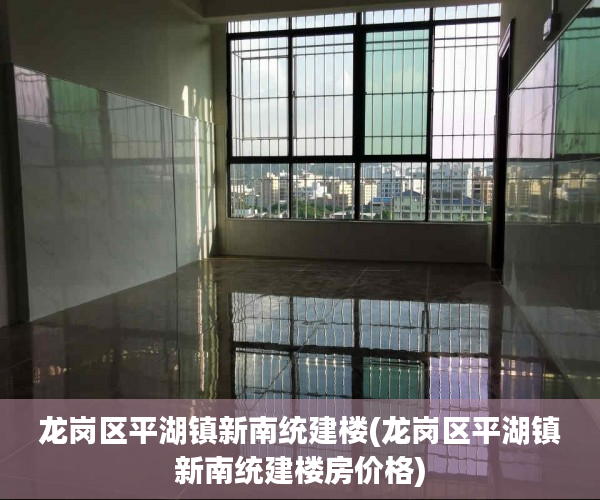 龙岗区平湖镇新南统建楼(龙岗区平湖镇新南统建楼房价格)
