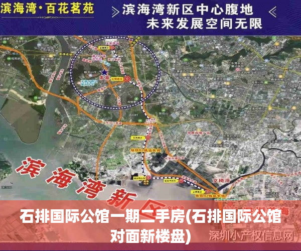 石排国际公馆一期二手房(石排国际公馆对面新楼盘)