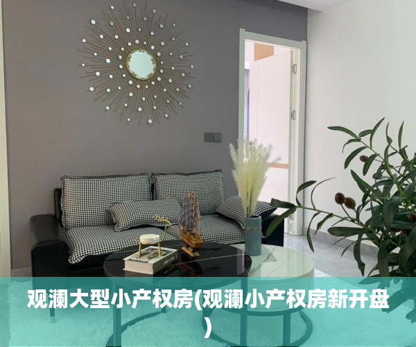 观澜大型小产权房(观澜小产权房新开盘)