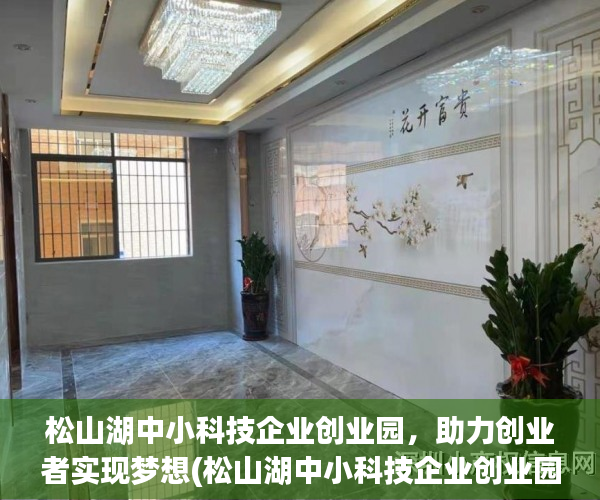 松山湖中小科技企业创业园，助力创业者实现梦想(松山湖中小科技企业创业园有什么厂)