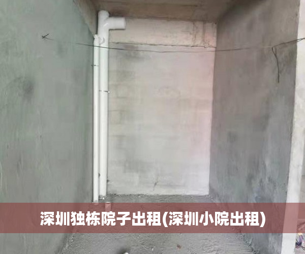 深圳独栋院子出租(深圳小院出租)
