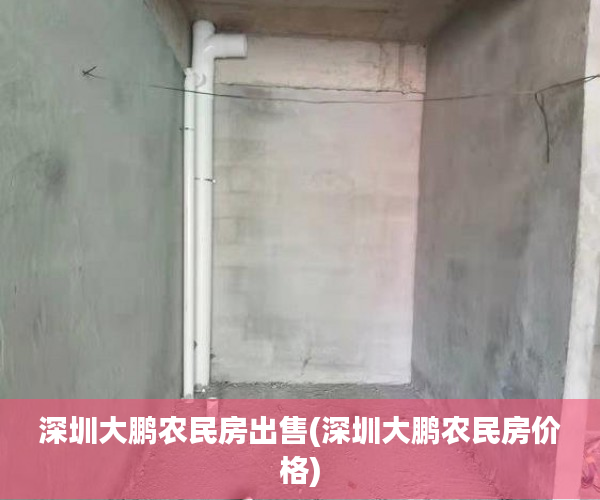 深圳大鹏农民房出售(深圳大鹏农民房价格)