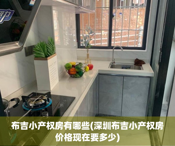 布吉小产权房有哪些(深圳布吉小产权房价格现在要多少)