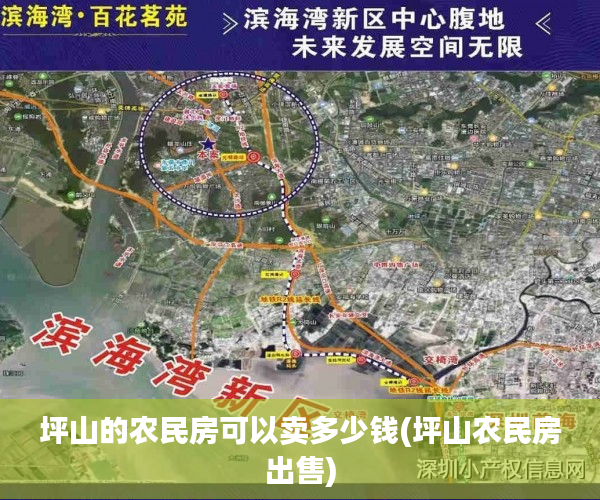 坪山的农民房可以卖多少钱(坪山农民房出售) 坪山的农民房可以卖多少钱(坪山农民房出售)
