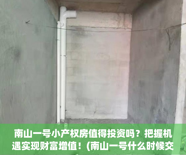 南山一号小产权房值得投资吗？把握机遇实现财富增值！(南山一号什么时候交房)