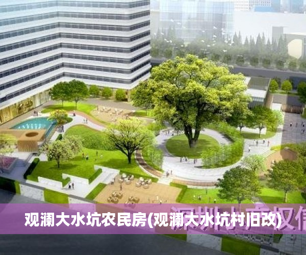 观澜大水坑农民房(观澜大水坑村旧改)