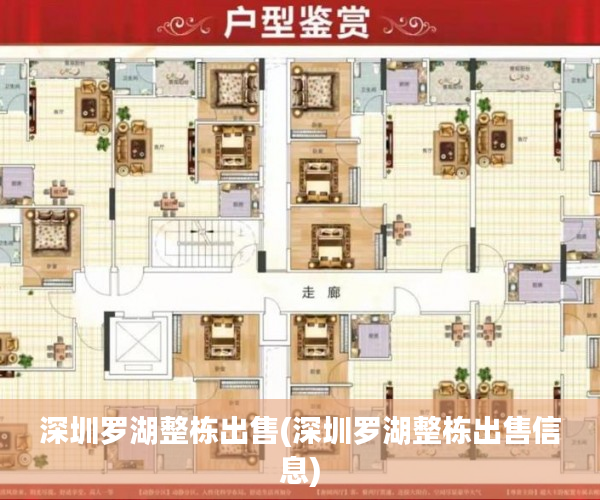 深圳罗湖整栋出售(深圳罗湖整栋出售信息) 深圳罗湖整栋出售(深圳罗湖整栋出售信息)