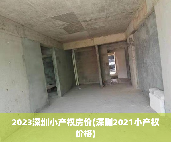 2023深圳小产权房价(深圳2021小产权价格)