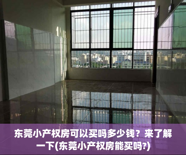东莞小产权房可以买吗多少钱？来了解一下(东莞小产权房能买吗?)
