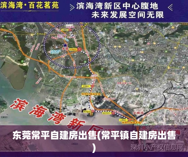东莞常平自建房出售(常平镇自建房出售) 东莞常平自建房出售(常平镇自建房出售)