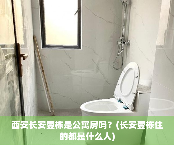 西安长安壹栋是公寓房吗?(长安壹栋住的都是什么人) 西安长安壹栋是公寓房吗?(长安壹栋住的都是什么人)