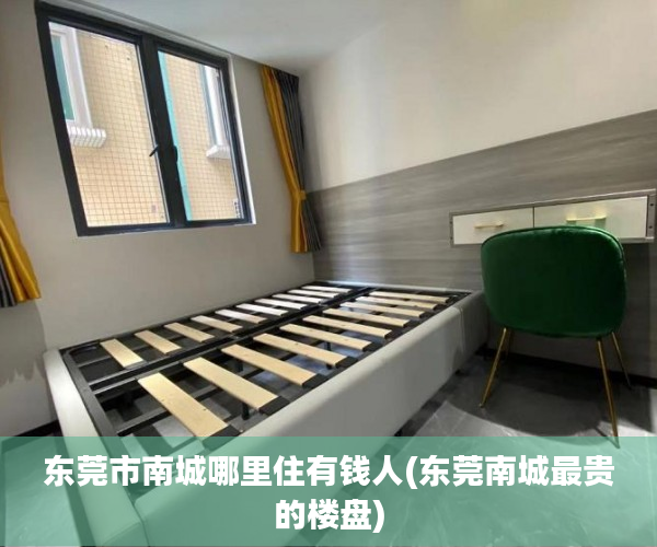 东莞市南城哪里住有钱人(东莞南城最贵的楼盘)