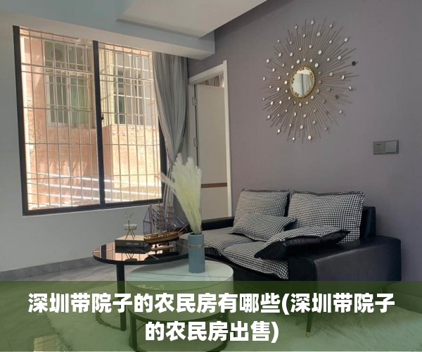深圳带院子的农民房有哪些(深圳带院子的农民房出售)