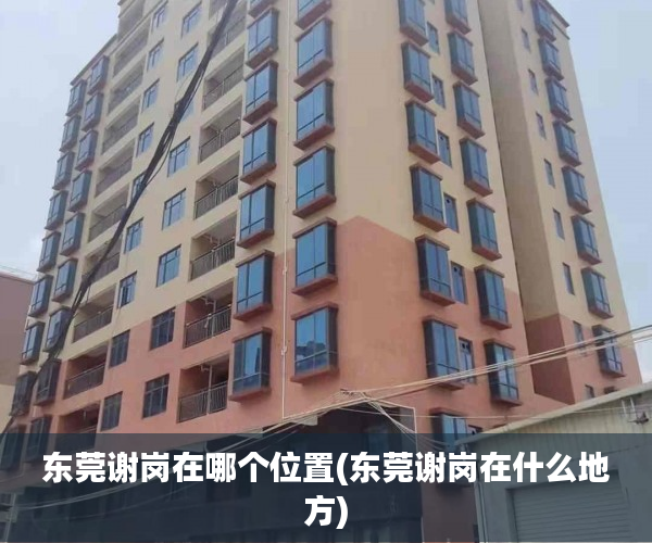 东莞谢岗在哪个位置(东莞谢岗在什么地方) 东莞谢岗在哪个位置(东莞谢岗在什么地方)