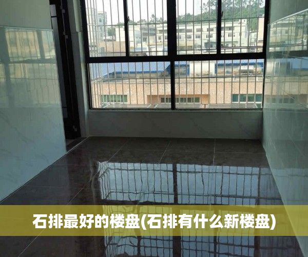 石排最好的楼盘(石排有什么新楼盘) 石排最好的楼盘(石排有什么新楼盘)