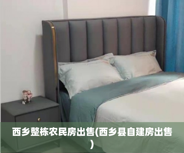 西乡整栋农民房出售(西乡县自建房出售)