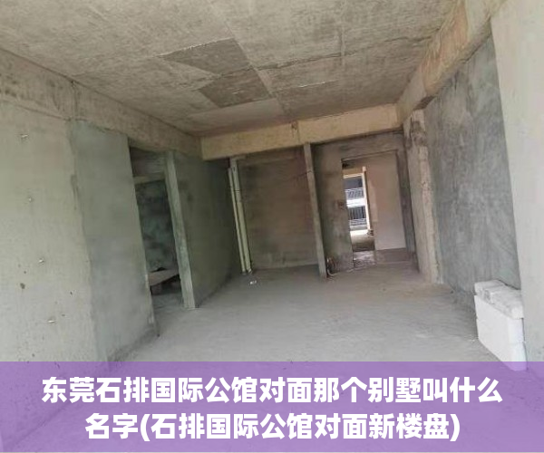 东莞石排国际公馆对面那个别墅叫什么名字(石排国际公馆对面新楼盘)