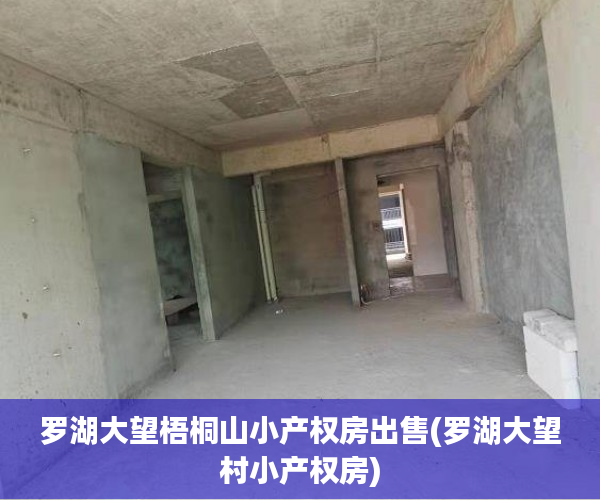 罗湖大望梧桐山小产权房出售(罗湖大望村小产权房) 罗湖大望梧桐山小产权房出售(罗湖大望村小产权房)