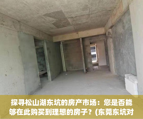 探寻松山湖东坑的房产市场：您是否能够在此购买到理想的房子？(东莞东坑对接松山湖)