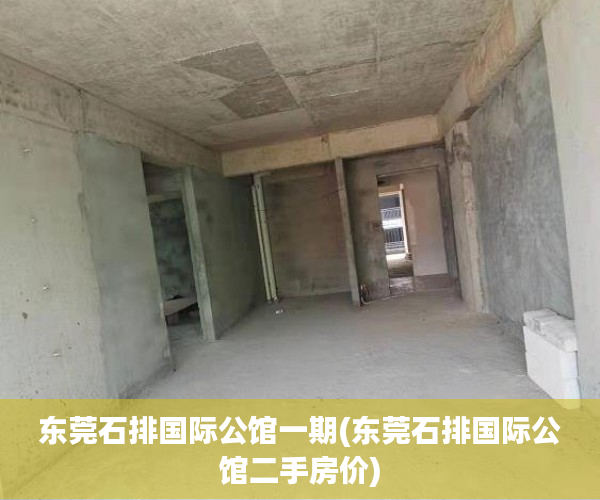 东莞石排国际公馆一期(东莞石排国际公馆二手房价)