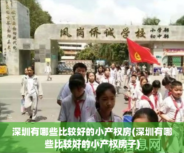 深圳有哪些比较好的小产权房(深圳有哪些比较好的小产权房子)
