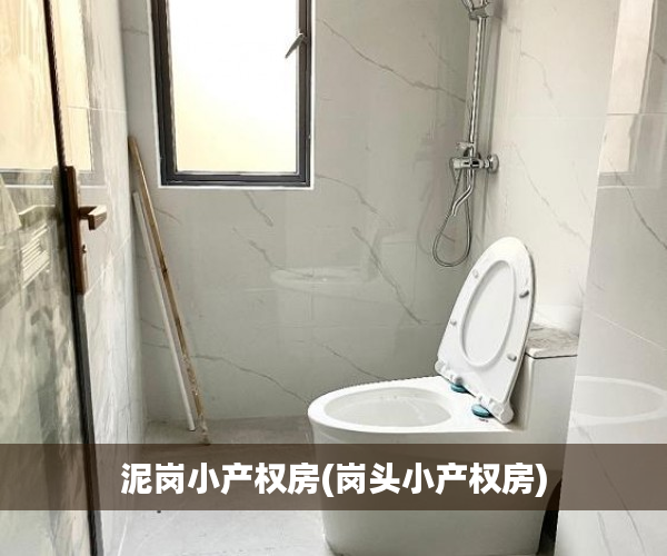 泥岗小产权房(岗头小产权房) 泥岗小产权房(岗头小产权房)