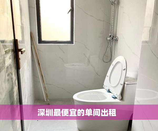 深圳最便宜的单间出租  