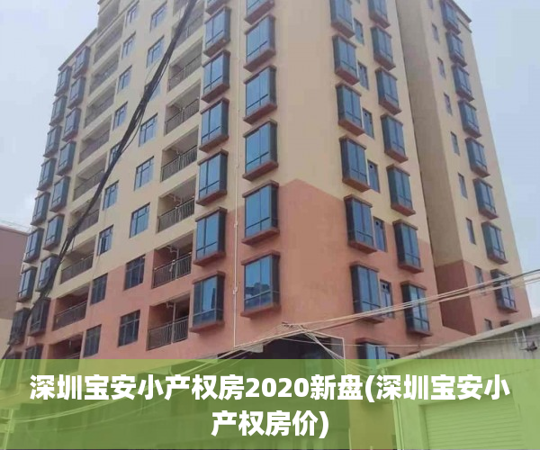深圳宝安小产权房2020新盘(深圳宝安小产权房价)
