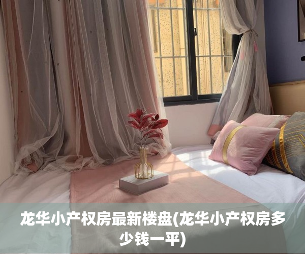 龙华小产权房最新楼盘(龙华小产权房多少钱一平)