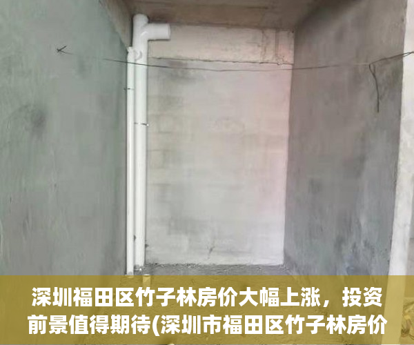 深圳福田区竹子林房价大幅上涨，投资前景值得期待(深圳市福田区竹子林房价)